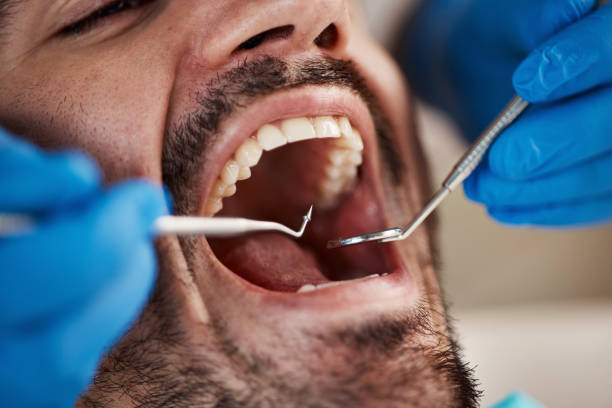 Best Emergency Denture Repair in Orlinda, TN